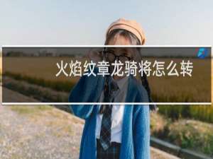 火焰纹章龙骑将怎么转