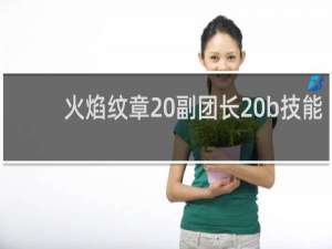 火焰纹章 副团长 b技能