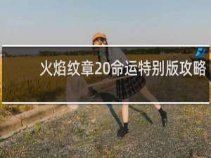 火焰纹章 命运特别版攻略