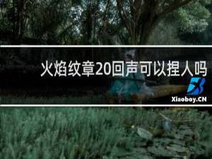 火焰纹章 回声可以捏人吗