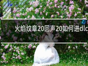 火焰纹章 回声 如何进dlc