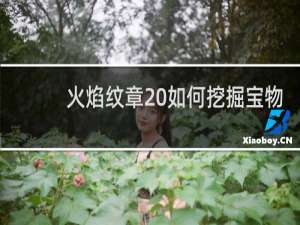 火焰纹章 如何挖掘宝物