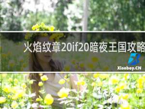 火焰纹章 if 暗夜王国攻略
