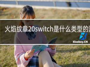 火焰纹章 switch是什么类型的游戏