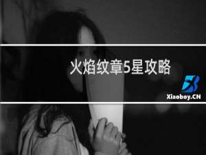 火焰纹章5星攻略