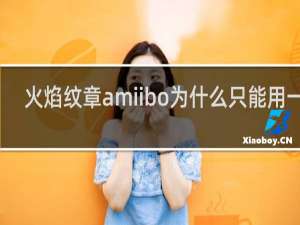 火焰纹章amiibo为什么只能用一张