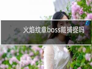 火焰纹章boss能捕捉吗