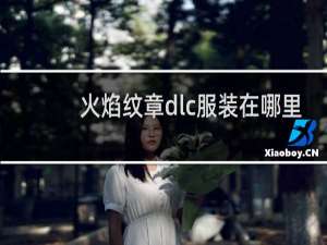 火焰纹章dlc服装在哪里