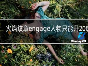 火焰纹章engage人物只能升20级吗