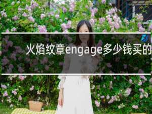 火焰纹章engage多少钱买的