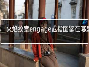 火焰纹章engage戒指图鉴在哪里看