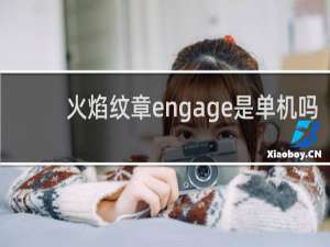 火焰纹章engage是单机吗