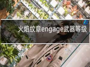 火焰纹章engage武器等级