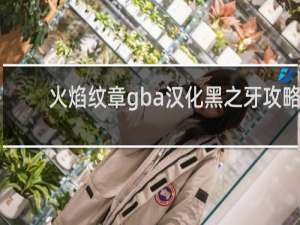 火焰纹章gba汉化黑之牙攻略