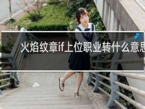 火焰纹章if上位职业转什么意思