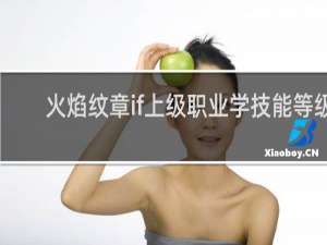 火焰纹章if上级职业学技能等级