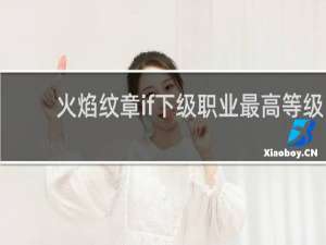 火焰纹章if下级职业最高等级