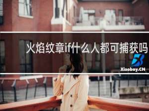 火焰纹章if什么人都可捕获吗