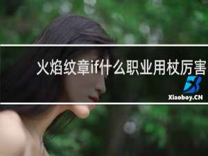 火焰纹章if什么职业用杖厉害
