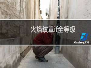 火焰纹章if全等级