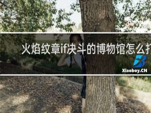 火焰纹章if决斗的博物馆怎么打