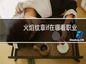 火焰纹章if在哪看职业