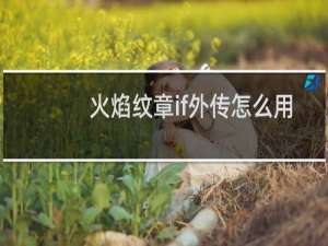 火焰纹章if外传怎么用
