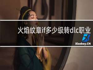 火焰纹章if多少级转dlc职业