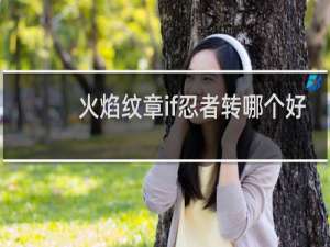 火焰纹章if忍者转哪个好