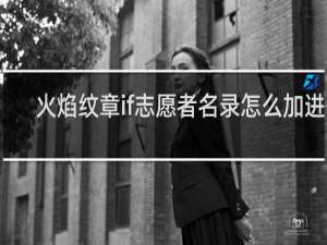 火焰纹章if志愿者名录怎么加进去
