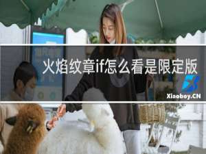 火焰纹章if怎么看是限定版