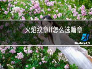 火焰纹章if怎么选篇章