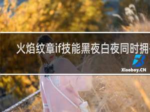 火焰纹章if技能黑夜白夜同时拥有