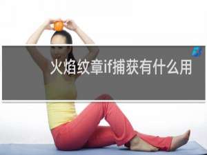 火焰纹章if捕获有什么用