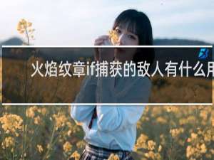 火焰纹章if捕获的敌人有什么用