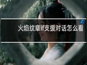 火焰纹章if支援对话怎么看