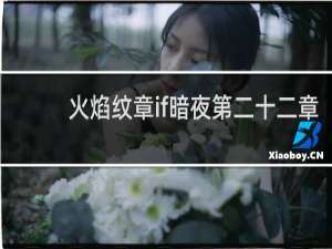 火焰纹章if暗夜第二十二章