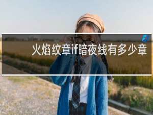 火焰纹章if暗夜线有多少章