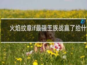 火焰纹章if最强王族战赢了给什么