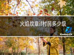 火焰纹章if村民多少级