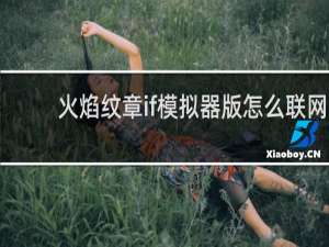 火焰纹章if模拟器版怎么联网