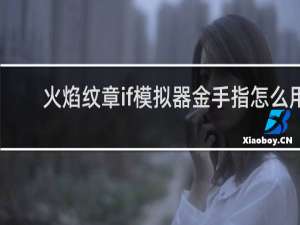 火焰纹章if模拟器金手指怎么用