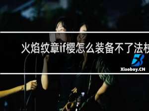 火焰纹章if樱怎么装备不了法杖