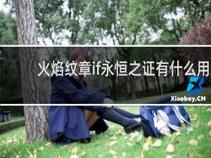 火焰纹章if永恒之证有什么用