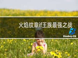 火焰纹章if王族最强之战