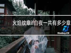 火焰纹章if白夜一共有多少章