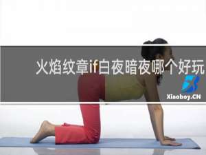 火焰纹章if白夜暗夜哪个好玩