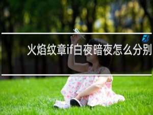 火焰纹章if白夜暗夜怎么分别