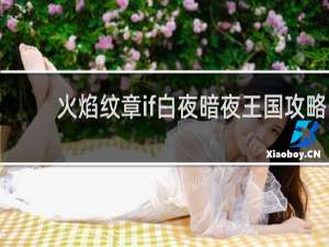 火焰纹章if白夜暗夜王国攻略