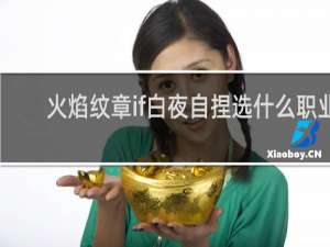 火焰纹章if白夜自捏选什么职业